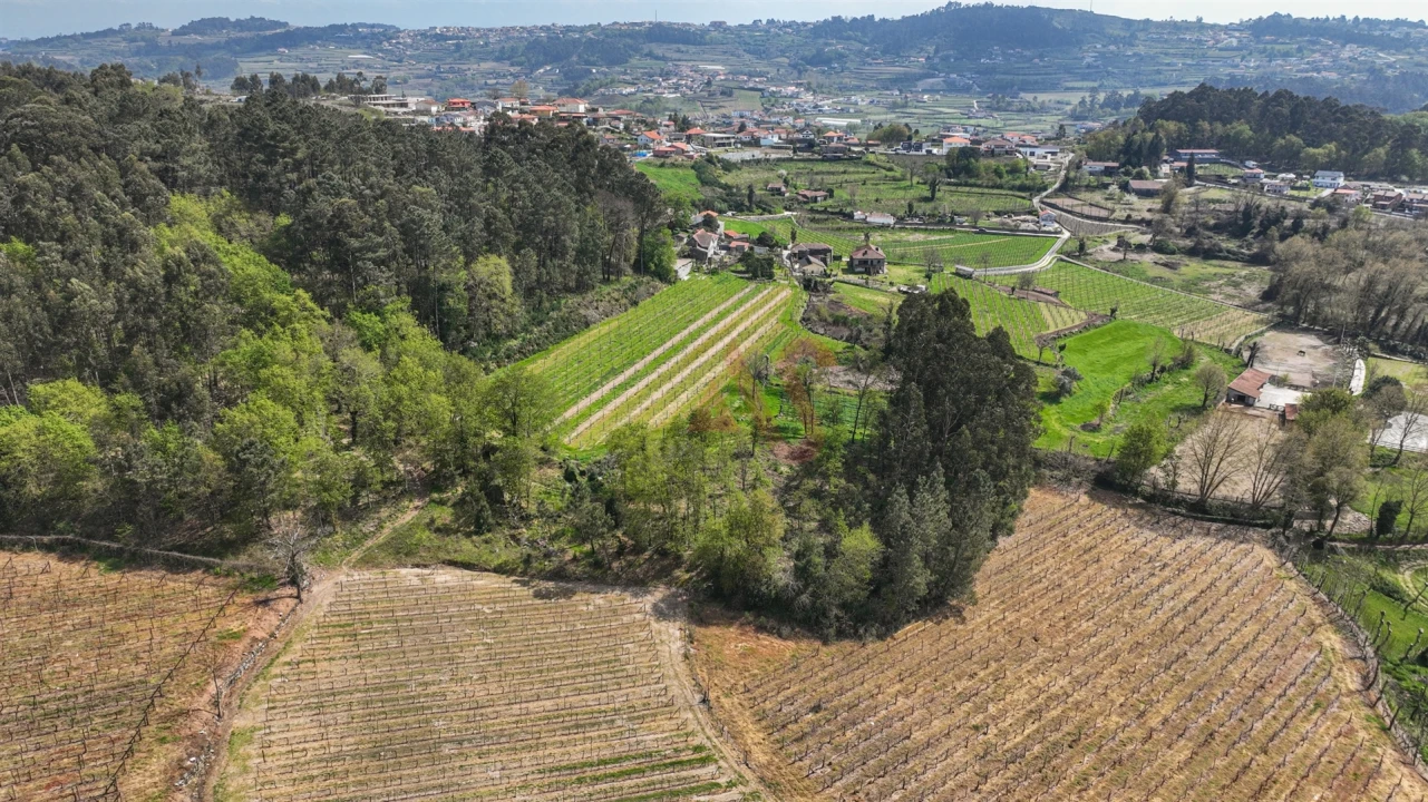 Terreno Agricola ou Rústico para Venda em Pedreira, Rande e Sernande Foto 13