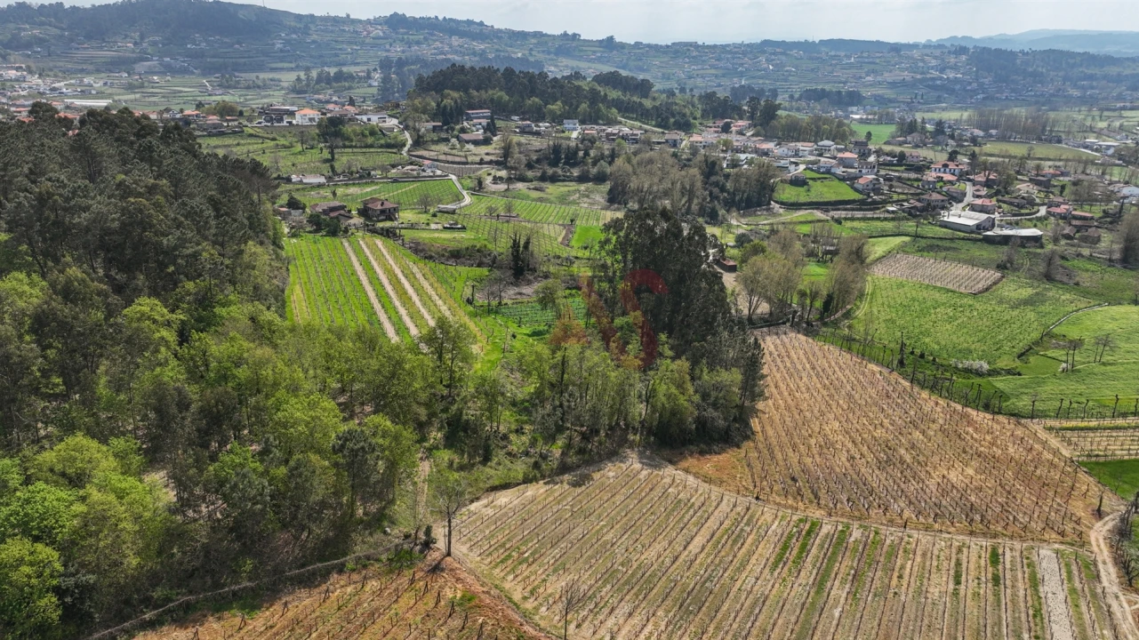 Terreno Agricola ou Rústico para Venda em Pedreira, Rande e Sernande Foto 12