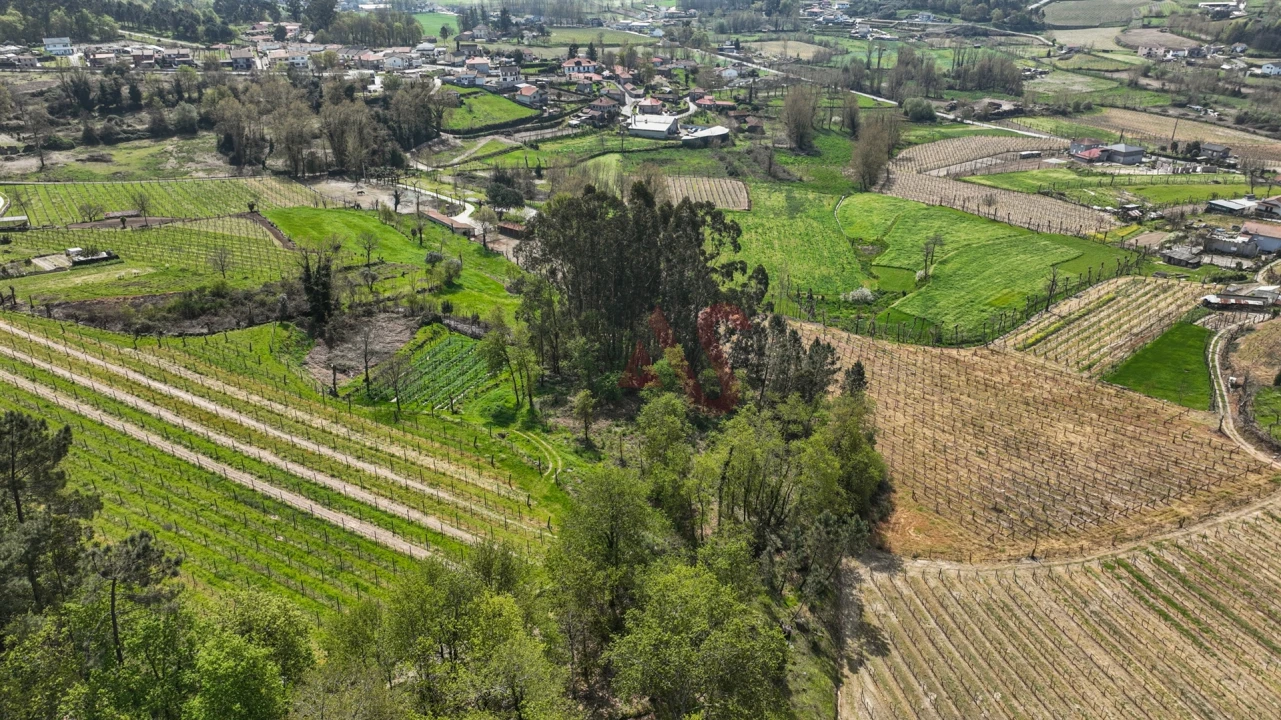 Terreno Agricola ou Rústico para Venda em Pedreira, Rande e Sernande Foto 10