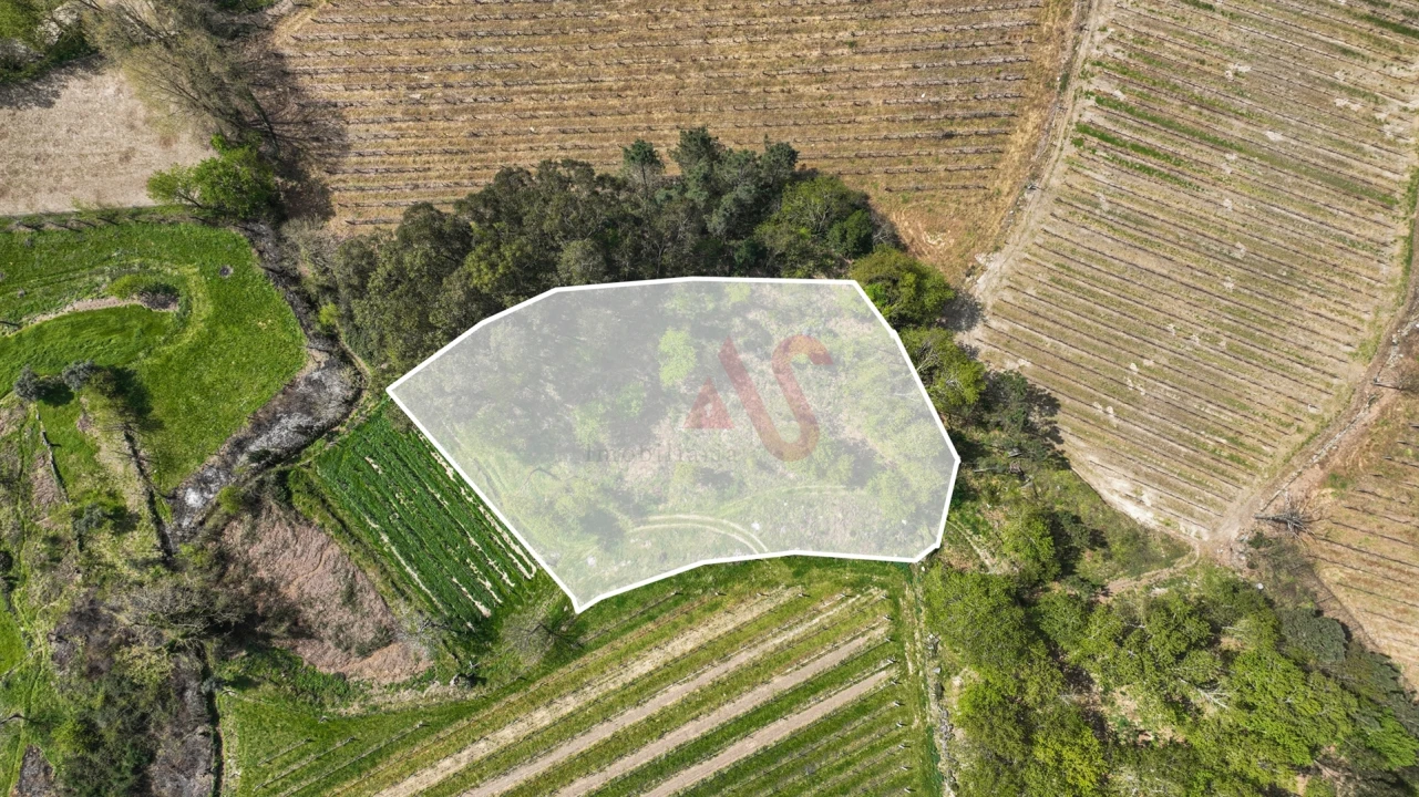 Terreno Agricola ou Rústico para Venda em Pedreira, Rande e Sernande Foto 1