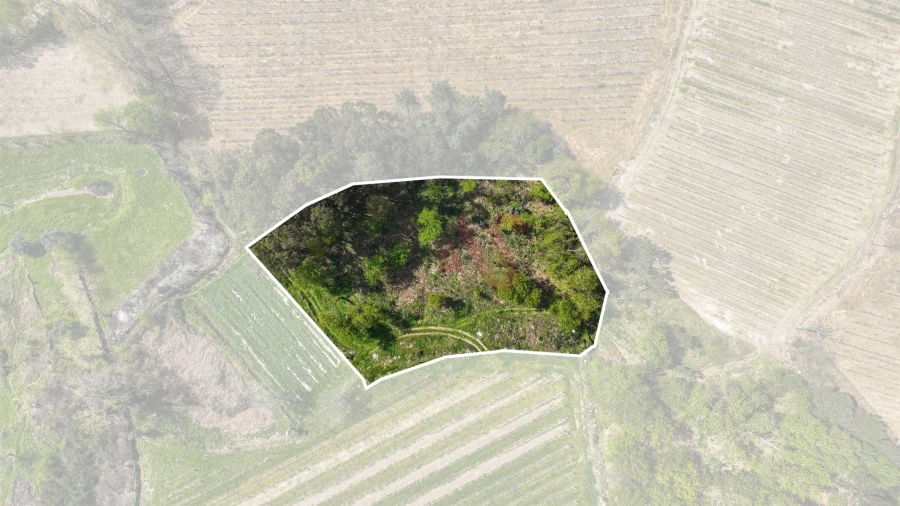Terreno Agricola ou Rústico para Venda em Pedreira, Rande e Sernande Foto 2