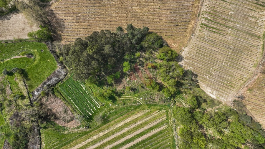 Terreno Agricola ou Rústico para Venda em Pedreira, Rande e Sernande Foto 11