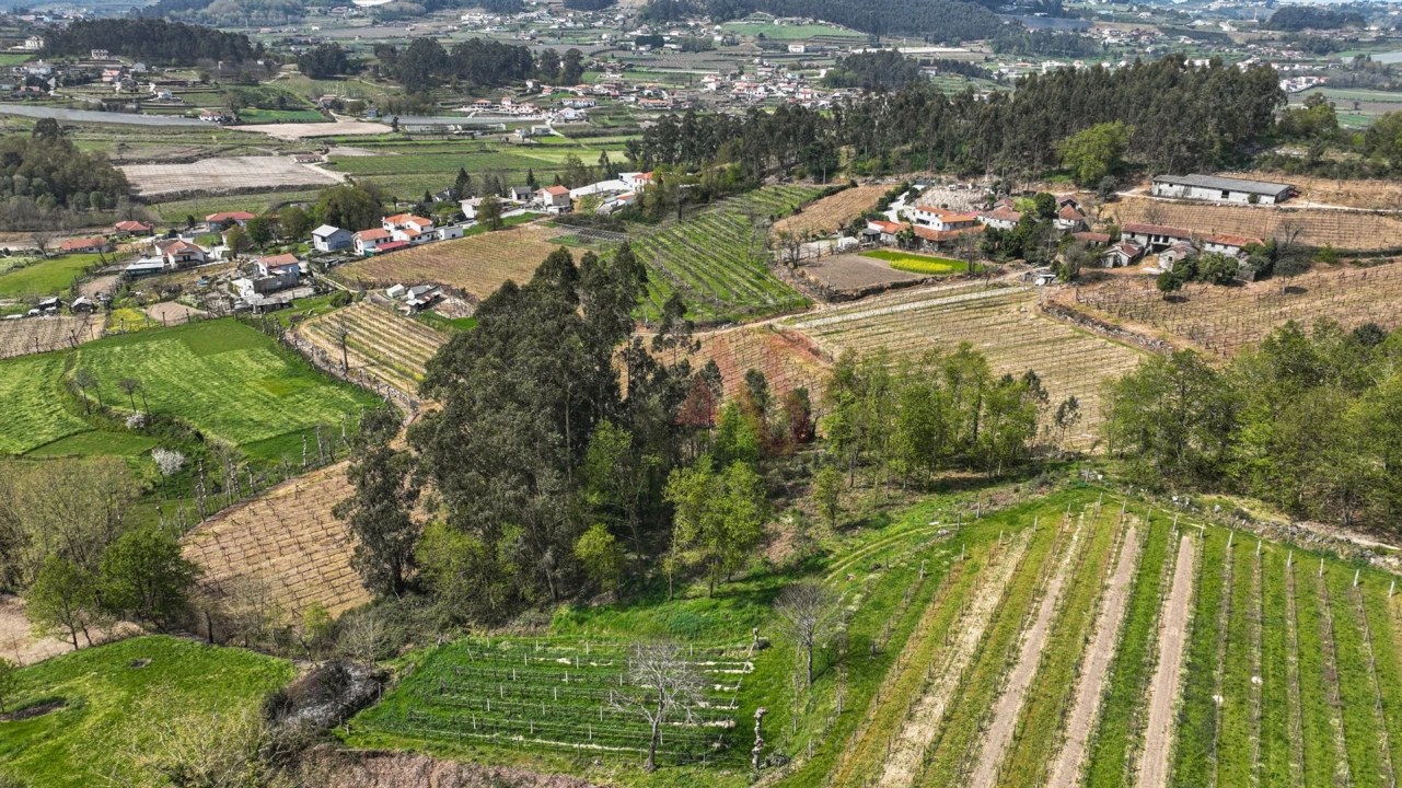Terreno Agricola ou Rústico para Venda em Pedreira, Rande e Sernande Foto 8