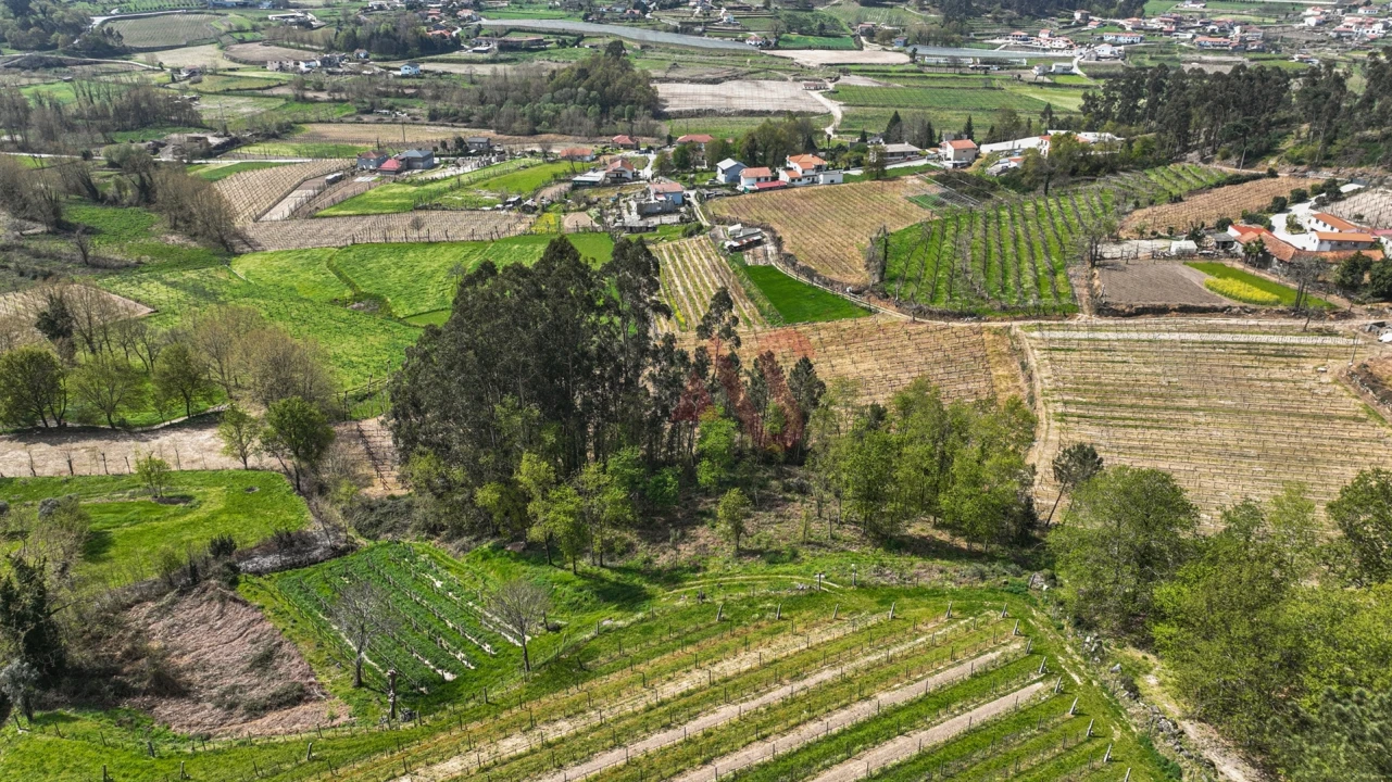 Terreno Agricola ou Rústico para Venda em Pedreira, Rande e Sernande Foto 9