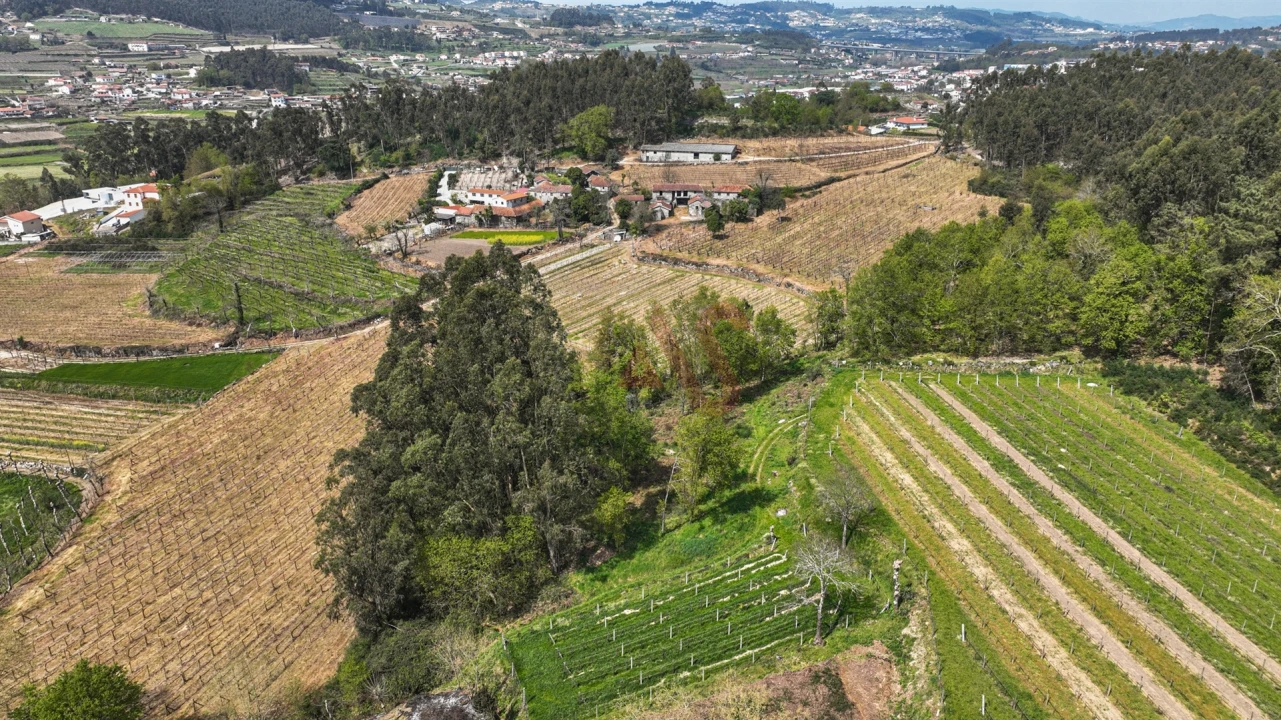 Terreno Agricola ou Rústico para Venda em Pedreira, Rande e Sernande Foto 7