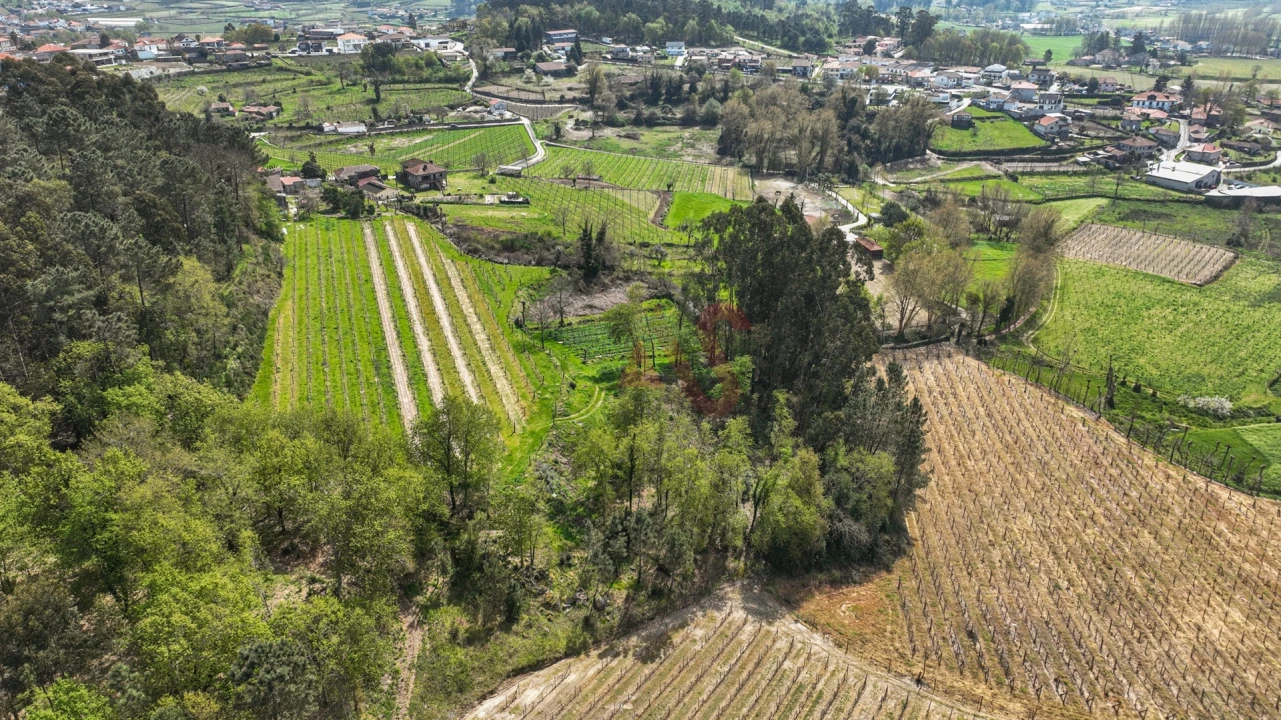 Terreno Agricola ou Rústico para Venda em Pedreira, Rande e Sernande Foto 4