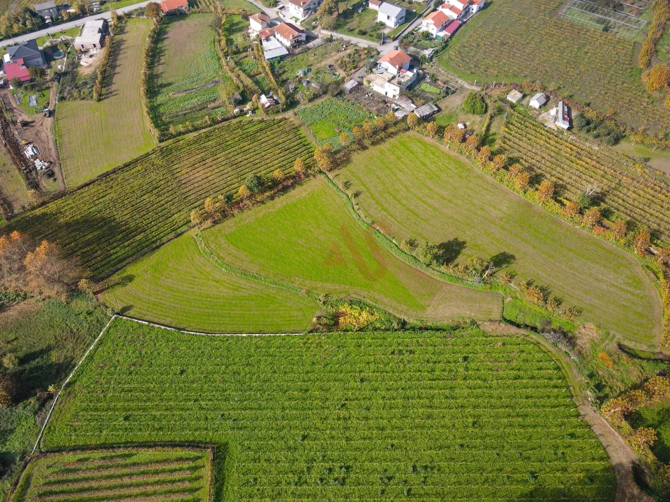 Terreno Agricola ou Rústico para Venda em Pedreira, Rande e Sernande Foto 4