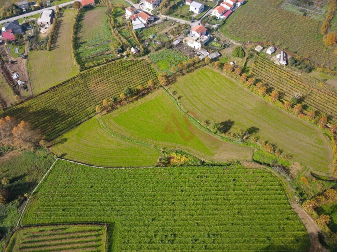 Terreno Agricola ou Rústico para Venda em Pedreira, Rande e Sernande Foto 4