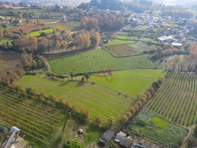 Terreno Agricola ou Rústico para Venda em Pedreira, Rande e Sernande Foto 3