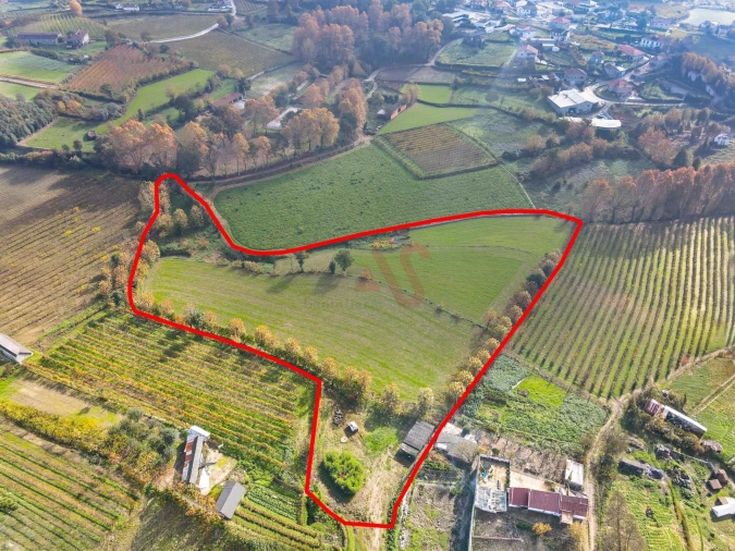 Terreno Agricola ou Rústico para Venda em Pedreira, Rande e Sernande Foto 1