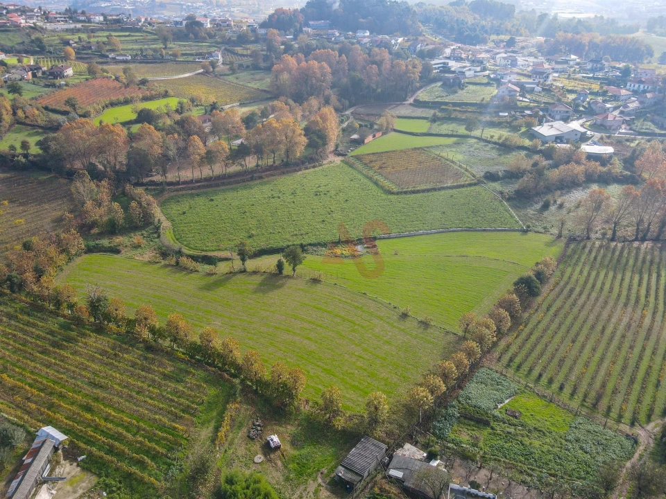 Terreno Agricola ou Rústico para Venda em Pedreira, Rande e Sernande Foto 3