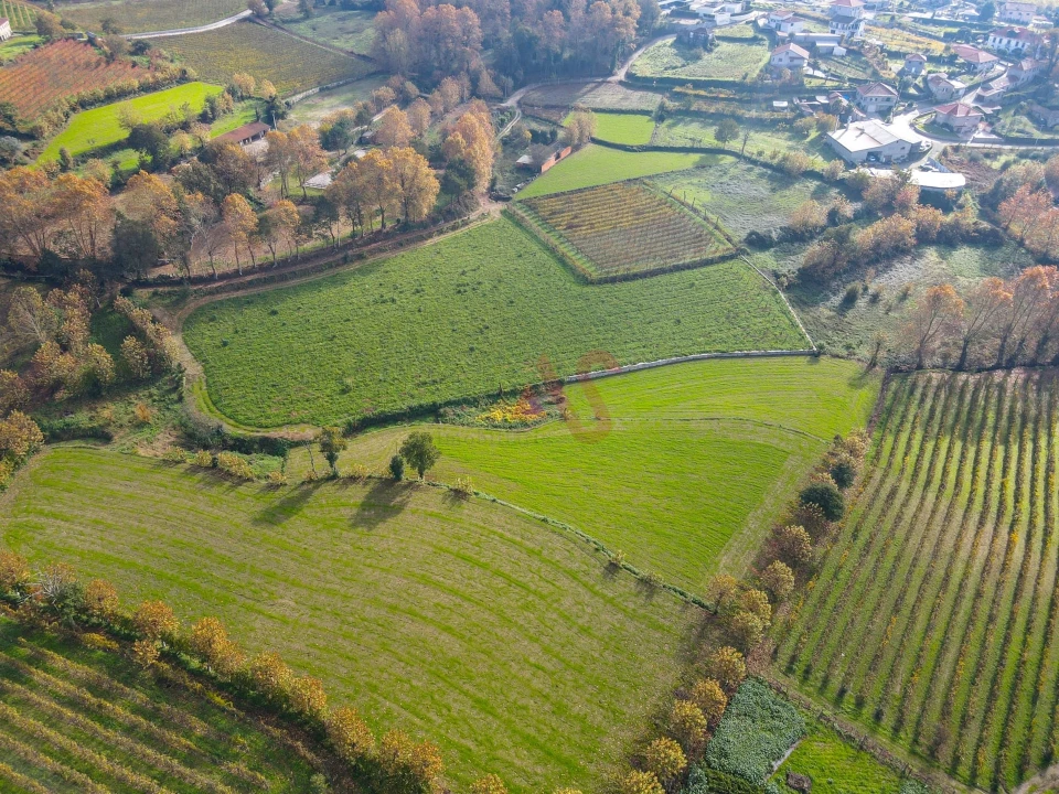 Terreno Agricola ou Rústico para Venda em Pedreira, Rande e Sernande Foto 2