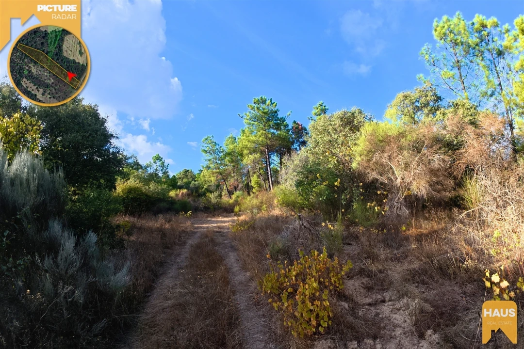 Terreno Agricola ou Rústico para Venda em Freixial e Juncal do Campo Foto 21