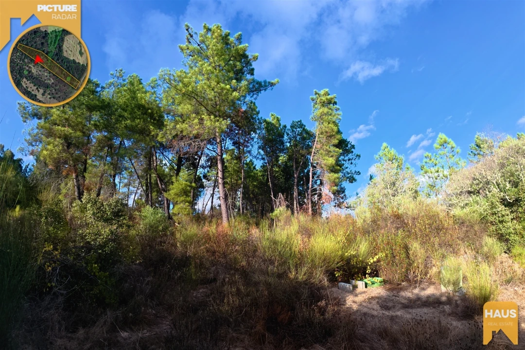 Terreno Agricola ou Rústico para Venda em Freixial e Juncal do Campo Foto 24