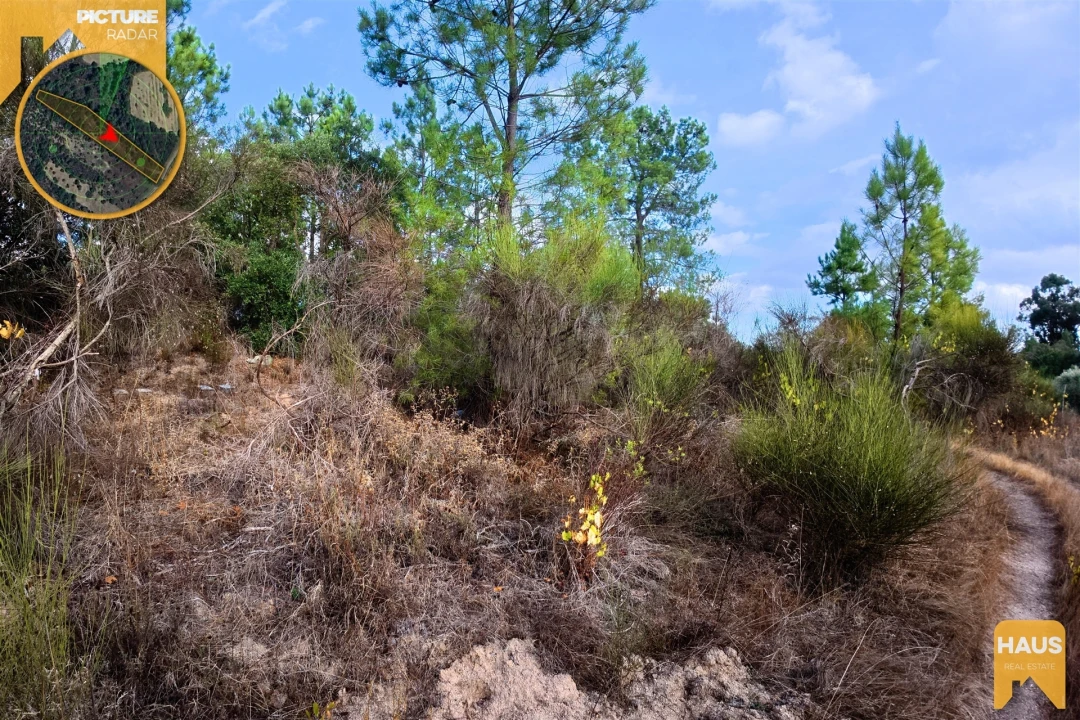 Terreno Agricola ou Rústico para Venda em Freixial e Juncal do Campo Foto 13