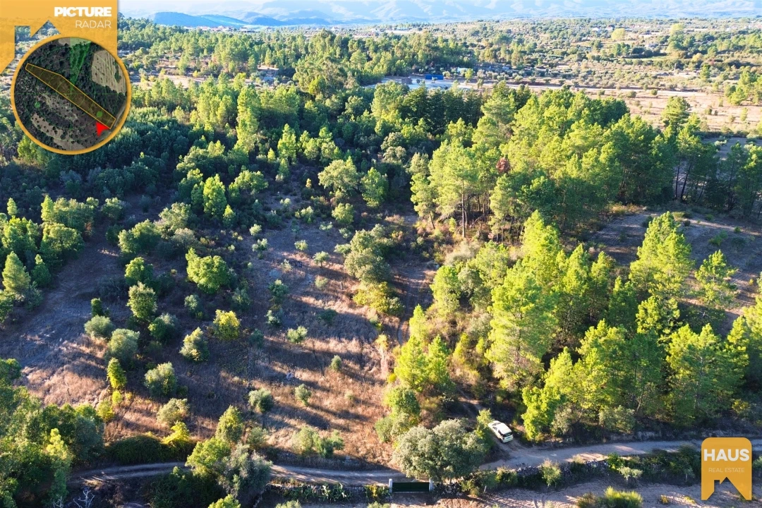 Terreno Agricola ou Rústico para Venda em Freixial e Juncal do Campo Foto 7