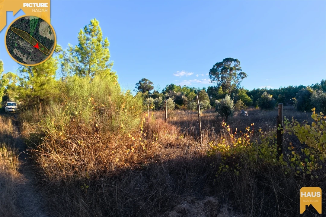Terreno Agricola ou Rústico para Venda em Freixial e Juncal do Campo Foto 8