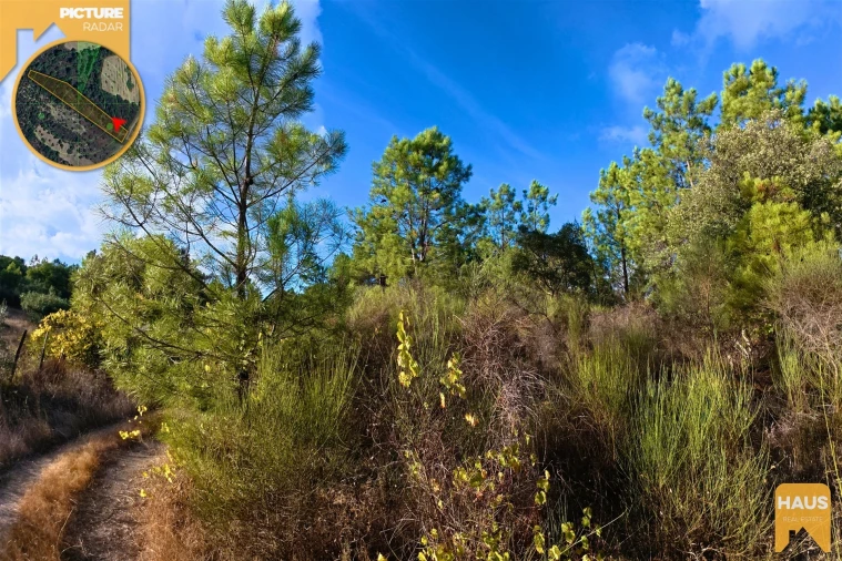 Terreno Agricola ou Rústico para Venda em Freixial e Juncal do Campo Foto 19