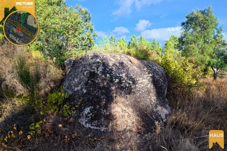 Terreno Agricola ou Rústico para Venda em Freixial e Juncal do Campo Foto 15