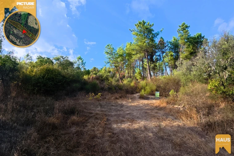 Terreno Agricola ou Rústico para Venda em Freixial e Juncal do Campo Foto 22