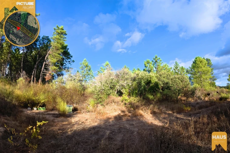 Terreno Agricola ou Rústico para Venda em Freixial e Juncal do Campo Foto 18