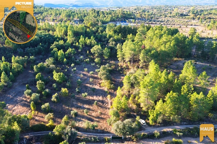 Terreno Agricola ou Rústico para Venda em Freixial e Juncal do Campo Foto 7