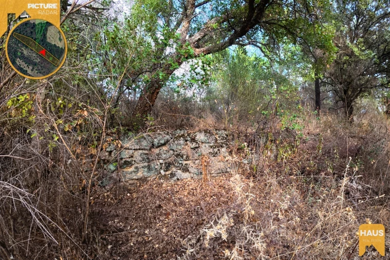 Terreno Agricola ou Rústico para Venda em Freixial e Juncal do Campo Foto 12