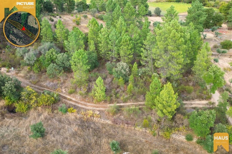 Terreno Agricola ou Rústico para Venda em Freixial e Juncal do Campo Foto 14