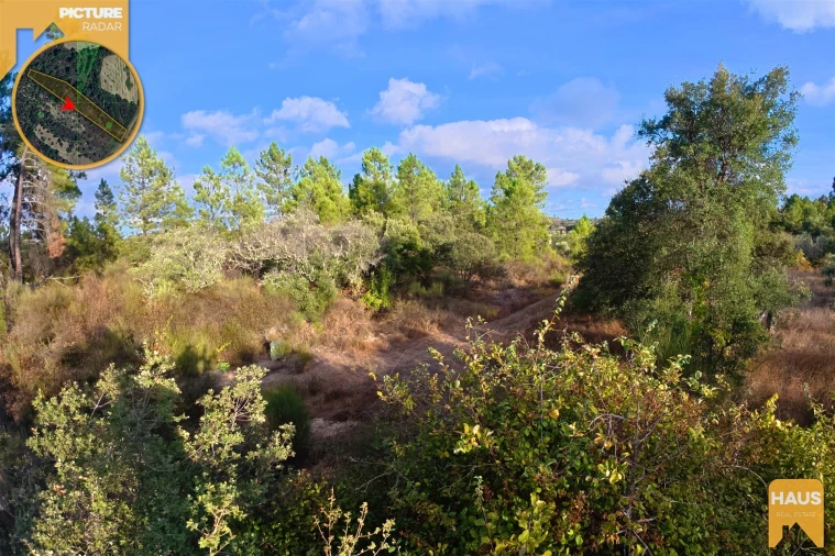 Terreno Agricola ou Rústico para Venda em Freixial e Juncal do Campo Foto 16