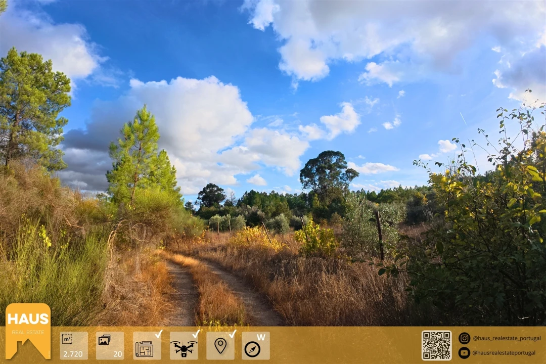 Terreno Agricola ou Rústico para Venda em Freixial e Juncal do Campo Foto 1