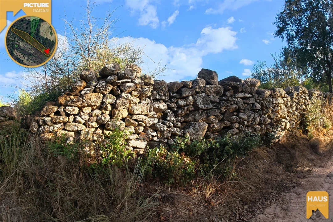 Terreno Agricola ou Rústico para Venda em Freixial e Juncal do Campo Foto 20