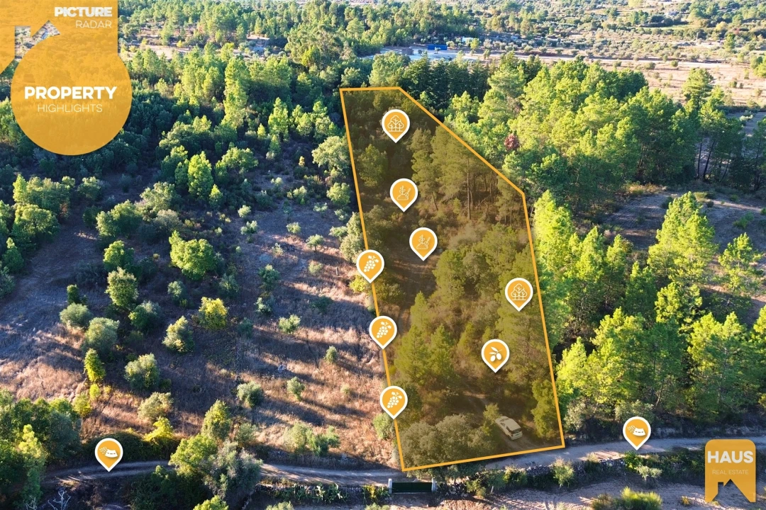 Terreno Agricola ou Rústico para Venda em Freixial e Juncal do Campo Foto 3