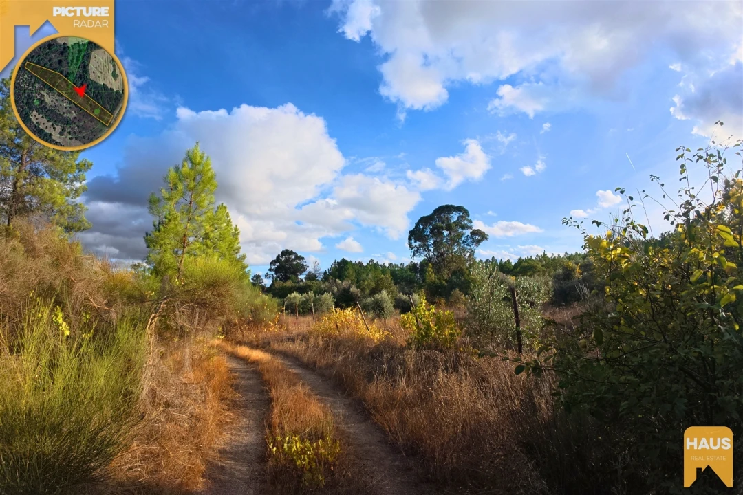Terreno Agricola ou Rústico para Venda em Freixial e Juncal do Campo Foto 6