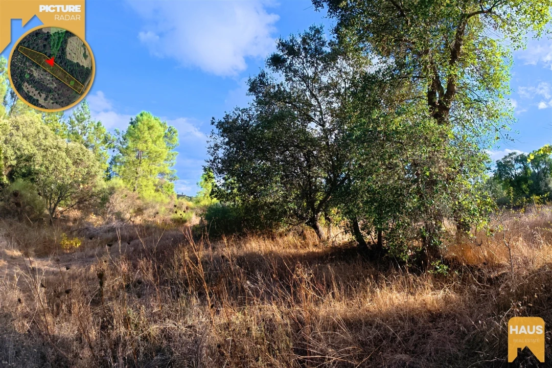 Terreno Agricola ou Rústico para Venda em Freixial e Juncal do Campo Foto 23