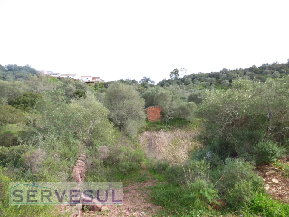 Quinta T2 para Venda em São Bartolomeu de Messines Foto 4