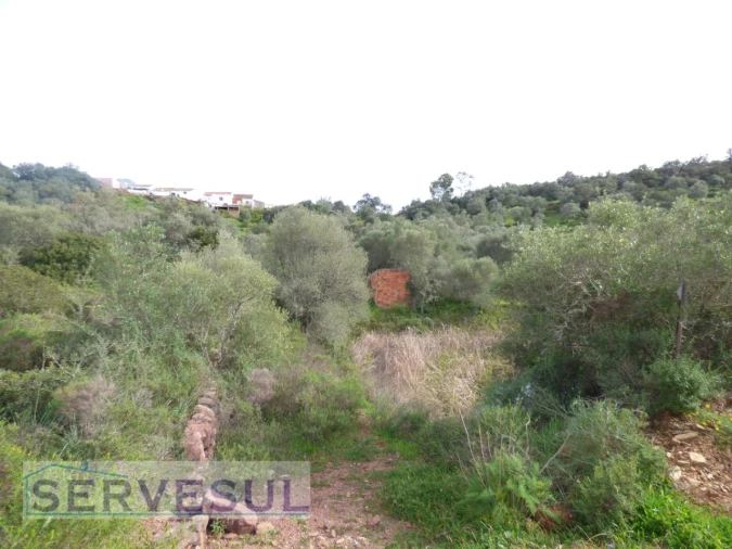 Quinta T2 para Venda em São Bartolomeu de Messines Foto 4