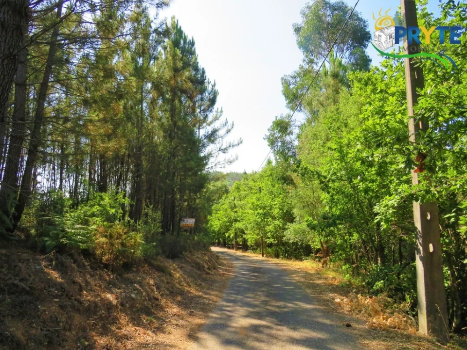 Terreno para Venda em Cernache do Bonjardim, Nesperal e Palhais Foto 23