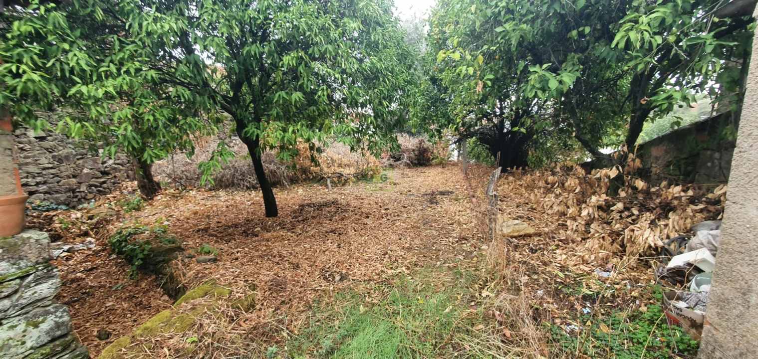 Moradia T3 para Venda em Ninho do Açor e Sobral do Campo Foto 4