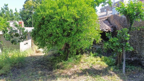 Moradia T3 para Venda em Ninho do Açor e Sobral do Campo