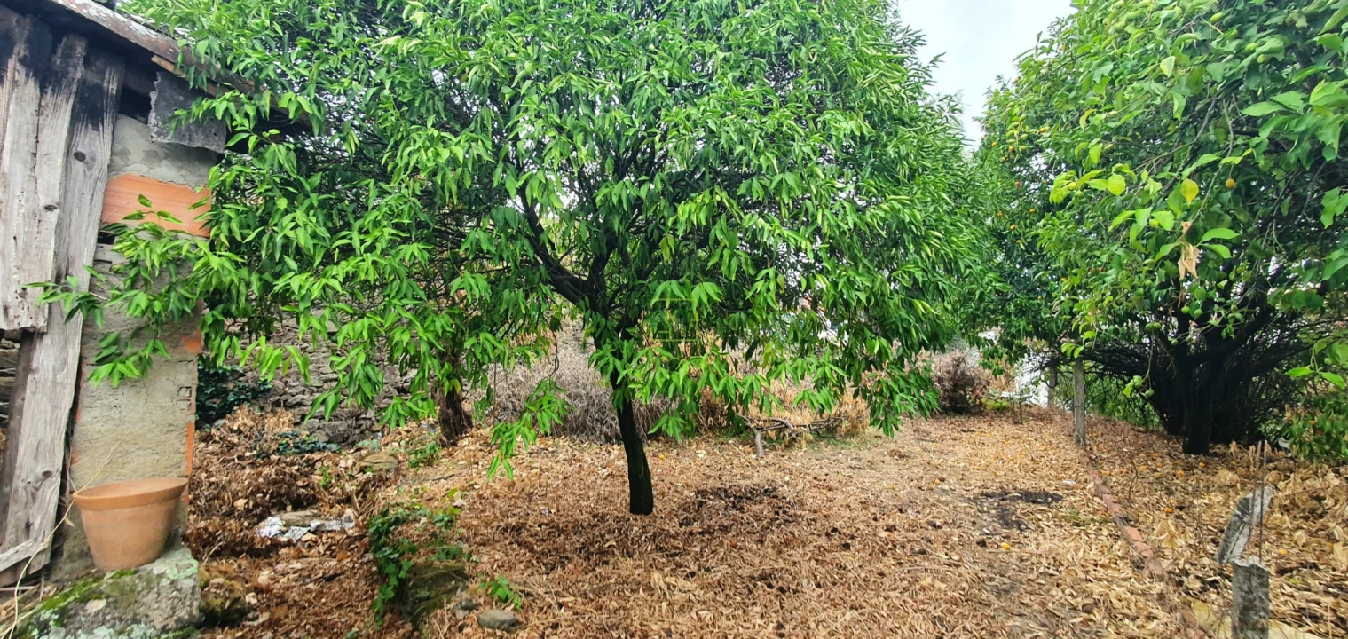 Moradia T3 para Venda em Ninho do Açor e Sobral do Campo Foto 7