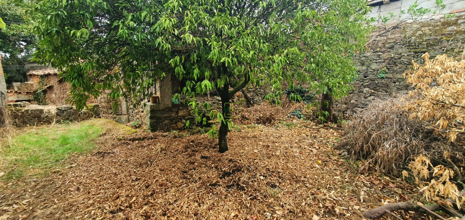 Moradia T3 para Venda em Ninho do Açor e Sobral do Campo Foto 12