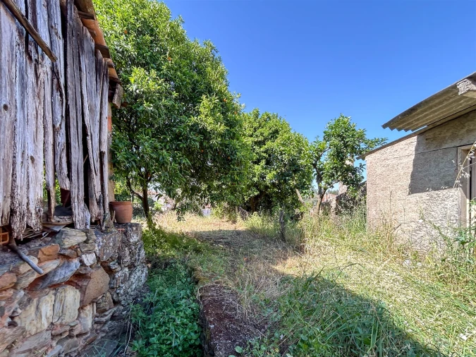 Moradia T3 para Venda em Ninho do Açor e Sobral do Campo Foto 32
