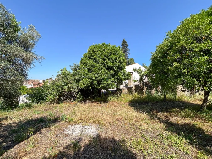 Moradia T3 para Venda em Ninho do Açor e Sobral do Campo Foto 40