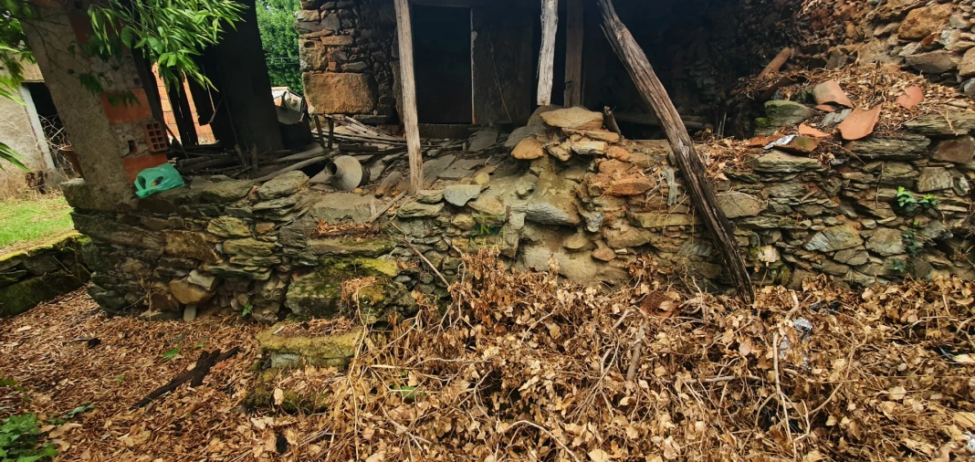 Moradia T3 para Venda em Ninho do Açor e Sobral do Campo Foto 11