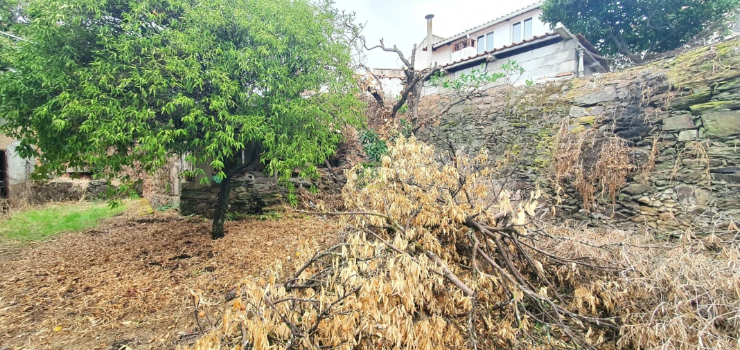 Moradia T3 para Venda em Ninho do Açor e Sobral do Campo Foto 8