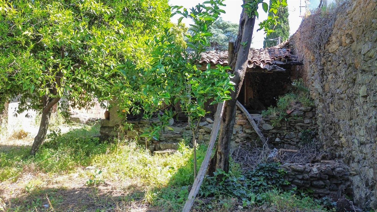 Moradia T3 para Venda em Ninho do Açor e Sobral do Campo Foto 11