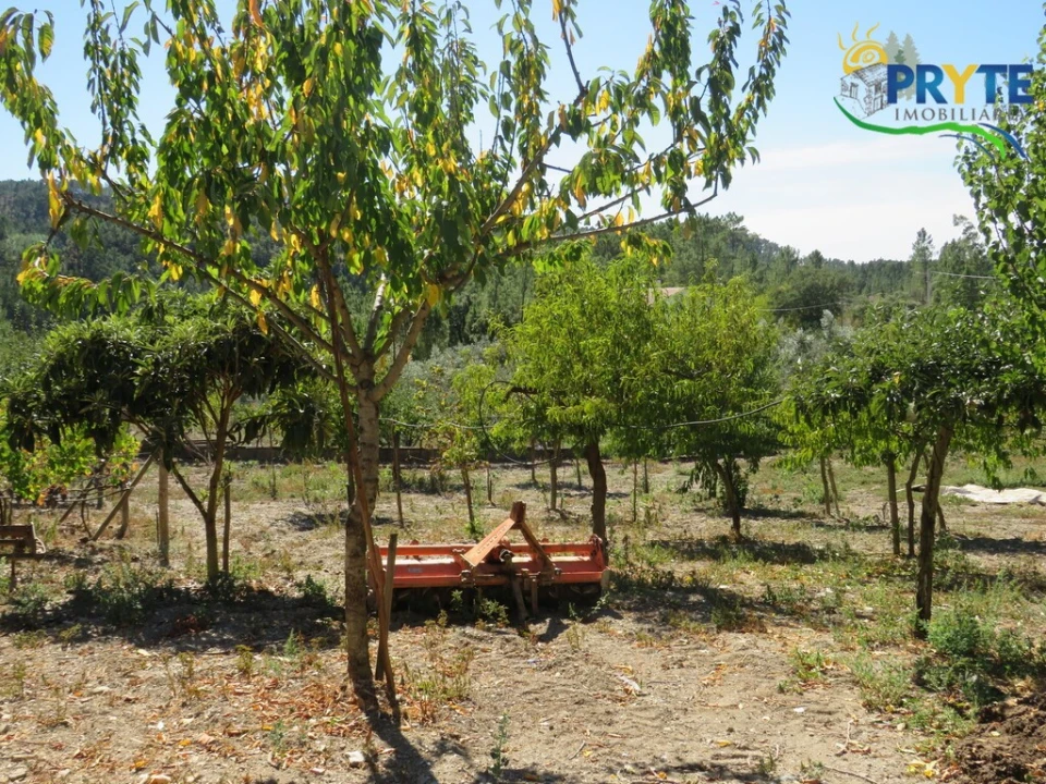 Moradia T3 para Venda em Sertã Foto 68