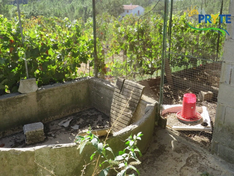 Moradia T3 para Venda em Sertã Foto 75