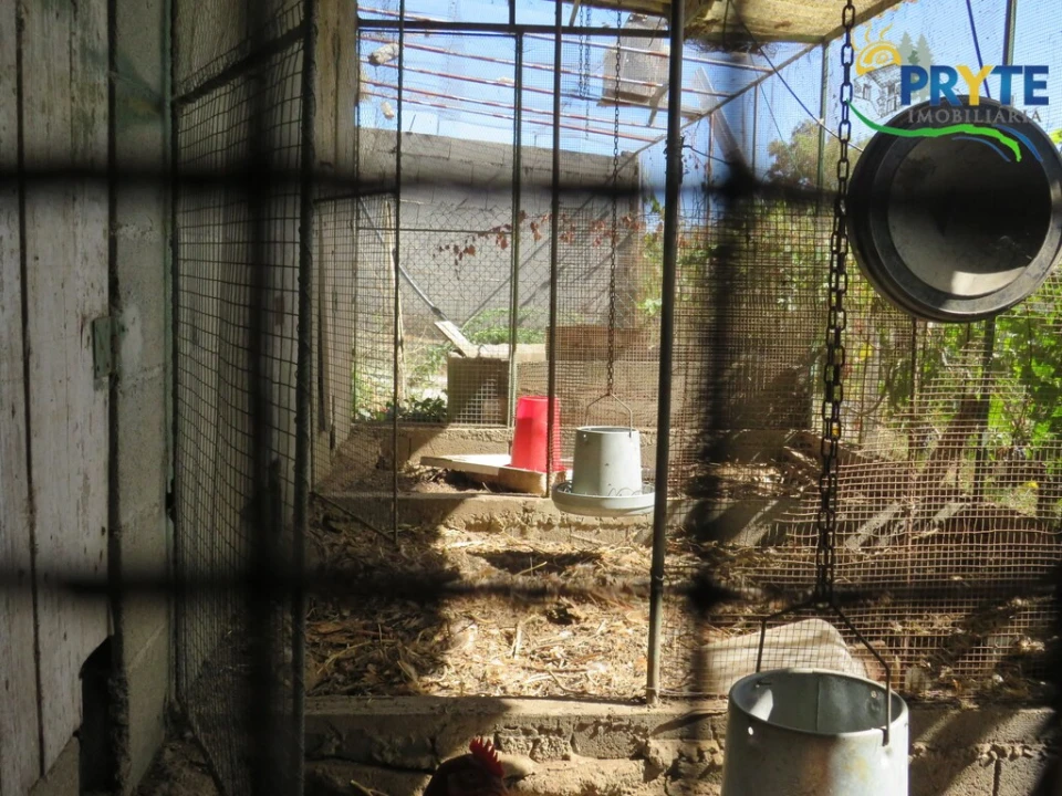 Moradia T3 para Venda em Sertã Foto 76