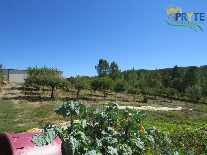 Moradia T3 para Venda em Sertã Foto 67